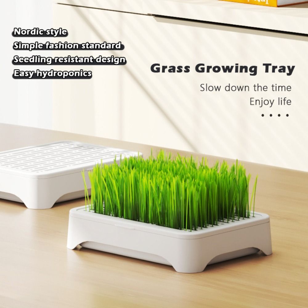 Grass Seed Spreader - Многофункциональный пластиковый гидропонный лоток для рассады,