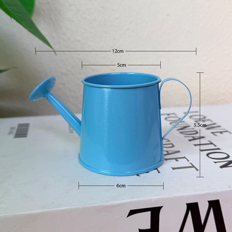 Watering Can Long Spout - Мини-лейка металлическая винтажная с длинным носиком