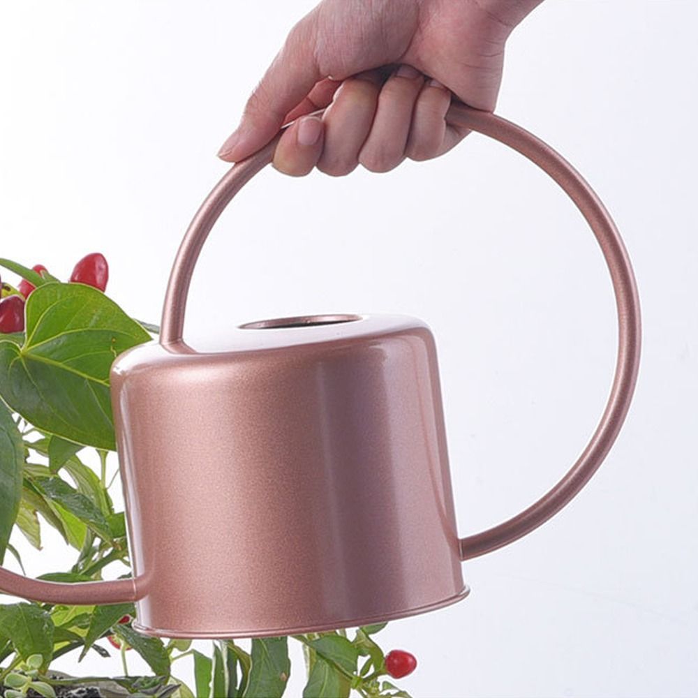 Watering Can Long Spout - Ретро-лейка для полива растений 1.3 л,