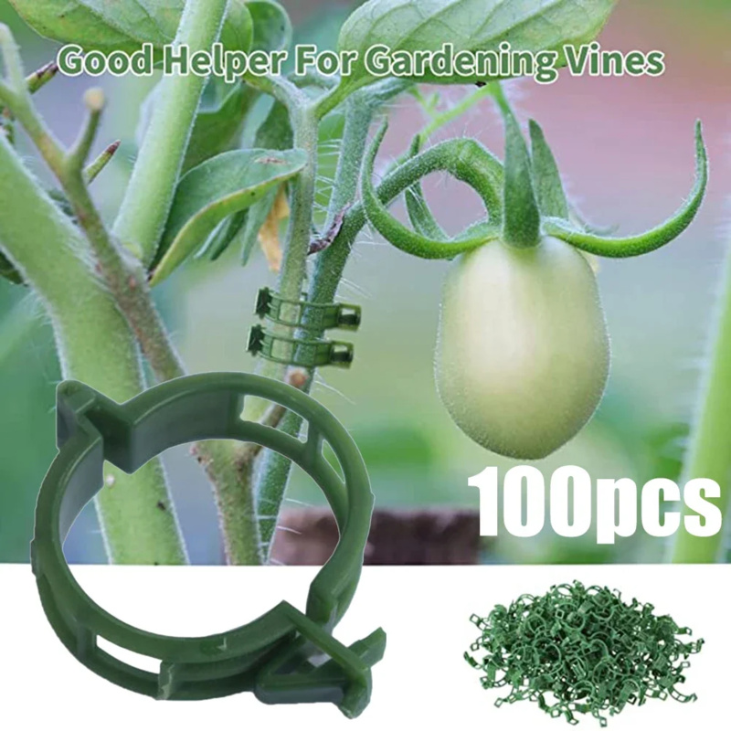 Gardening Tools Holder - 100 шт./зажим для поддержки растений, пластиковые