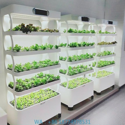 Hydroponic System - Гидропонная автоматическая система выращиванияИнтеллектуальная система выращивания