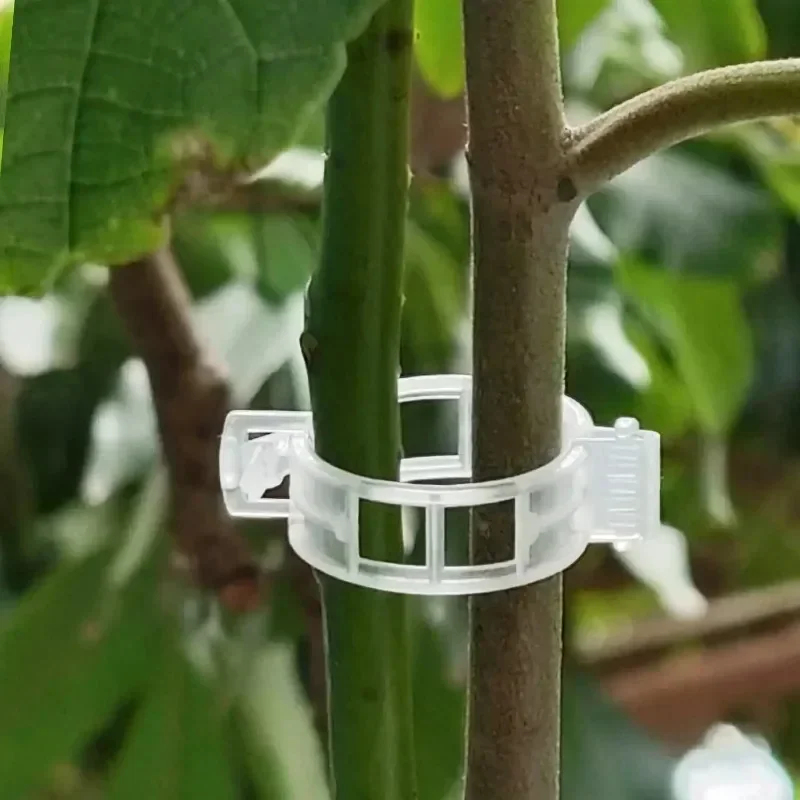 50-300 шт. многоразовых пласти – обзор и цена Gardening Tools Holder