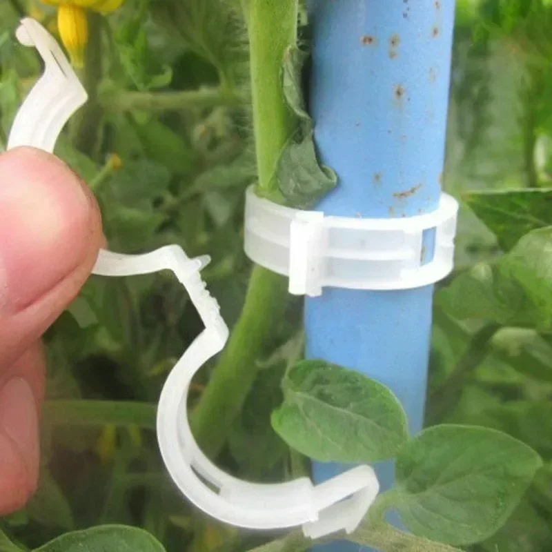 50-300 шт. многоразовых пласти – обзор и цена Gardening Tools Holder