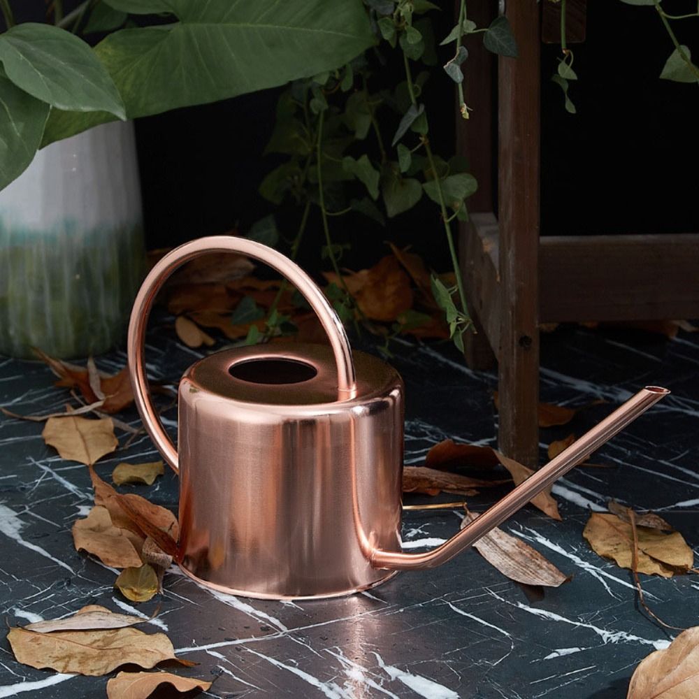 Лейка для растений 1,3 л из не – обзор и цена Watering Can Long Spout