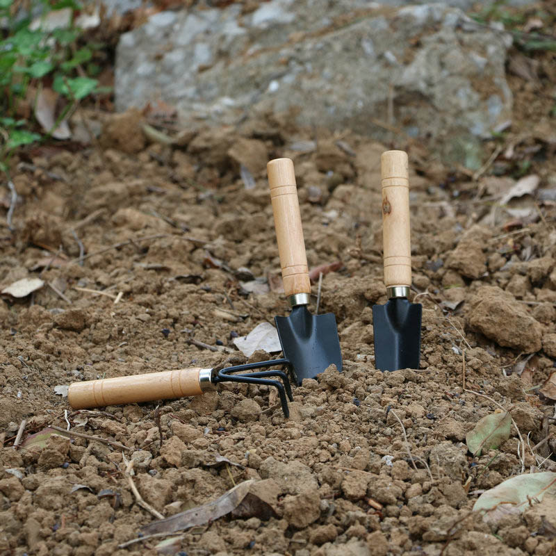 3 шт./компл. мини-набор садовы – обзор и цена Gardening Tools Vegetables