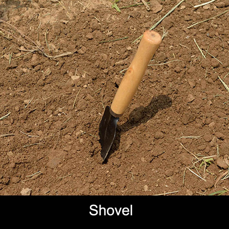 3 шт./компл. мини-набор садовы – обзор и цена Gardening Tools Vegetables