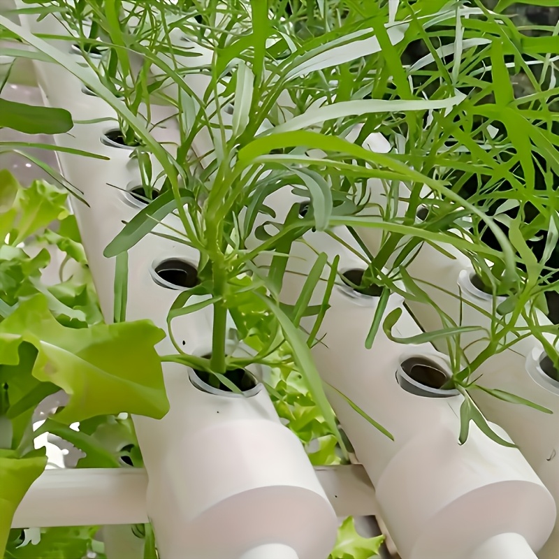 10 шт. гидропонных корзинок дл – обзор и цена Hydroponic System