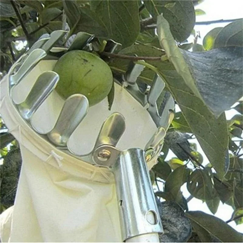 Садовый сборщик фруктов, телес – обзор и цена Gardening Tools Scissors