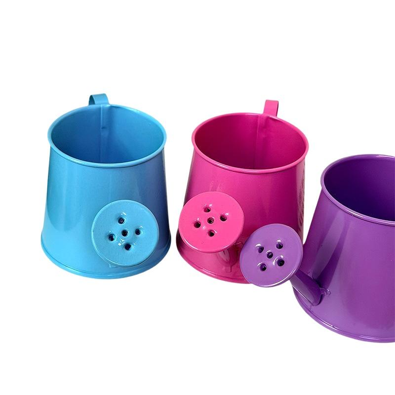 Мини-лейка металлическая винта – обзор и цена Watering Can Long Spout
