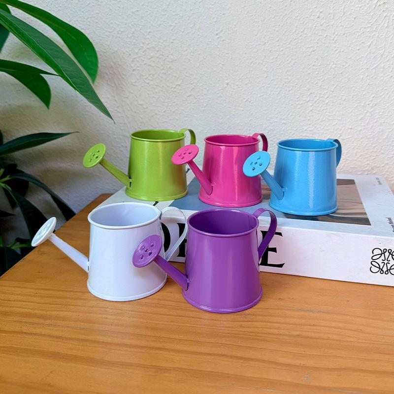 Мини-лейка металлическая винта – обзор и цена Watering Can Long Spout