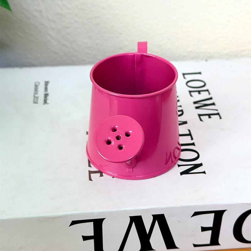 Мини-лейка металлическая винта – обзор и цена Watering Can Long Spout