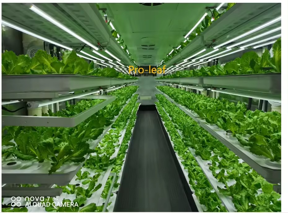 f Теплица Сельскохозяйственное – обзор и цена Hydroponic System