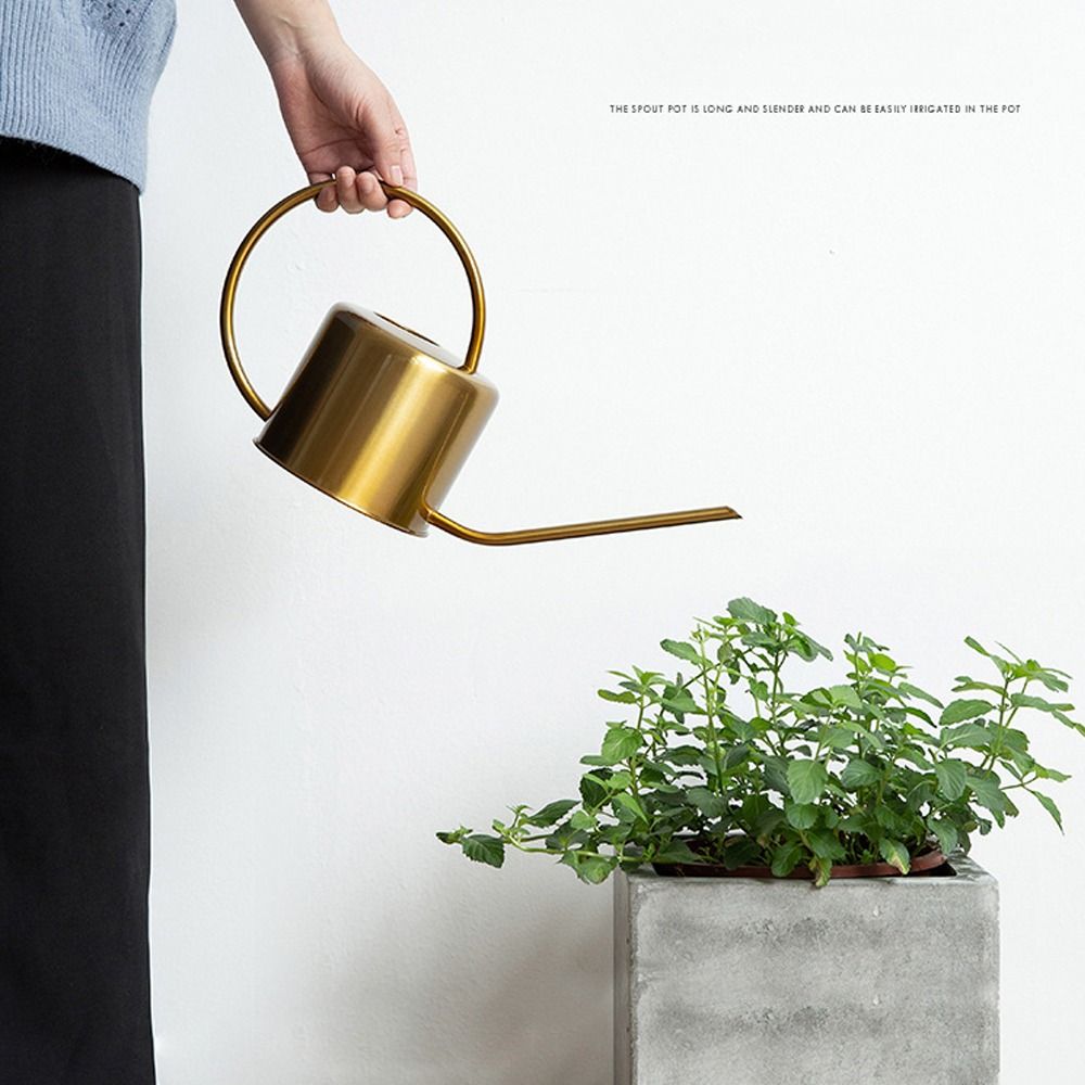 Ретро-лейка для полива растени – обзор и цена Watering Can Long Spout