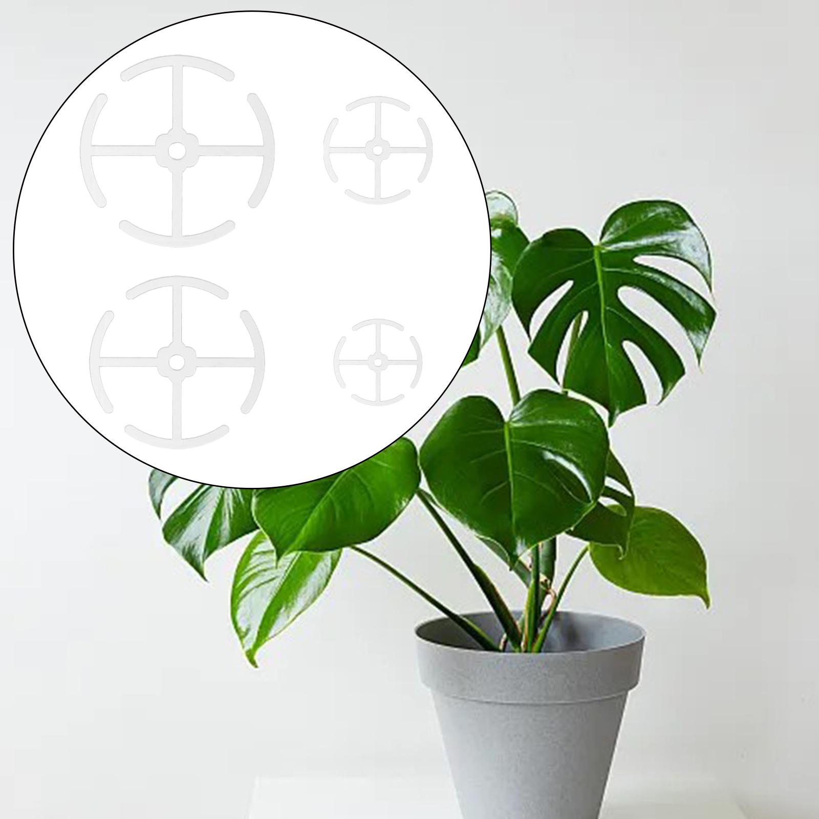 Пластиковые опоры для стеблей  – обзор и цена Gardening Tools Holder