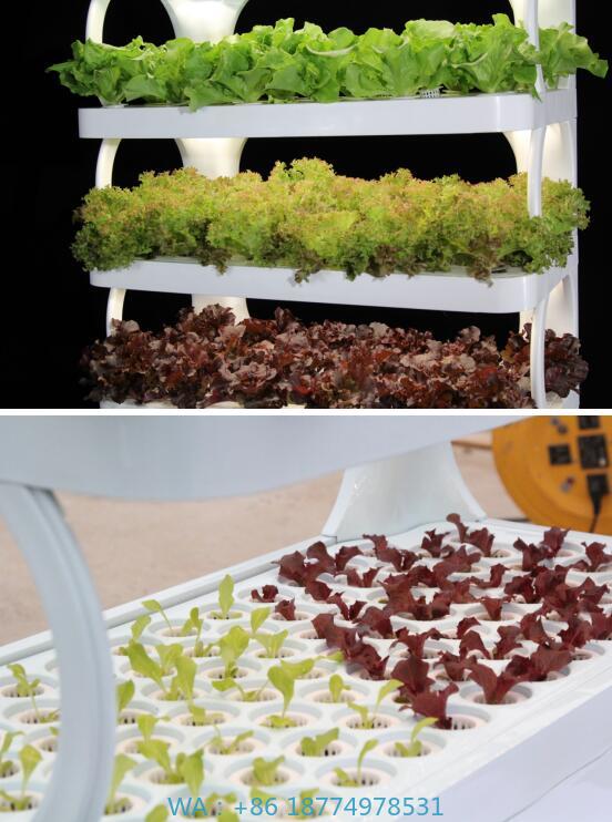 Система цветочного горшка Гидр – обзор и цена Hydroponic System