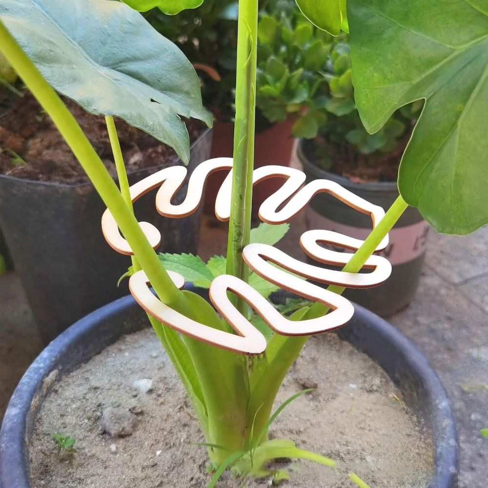 1/2 шт. многоразовый бамбуковы – обзор и цена Gardening Tools Holder