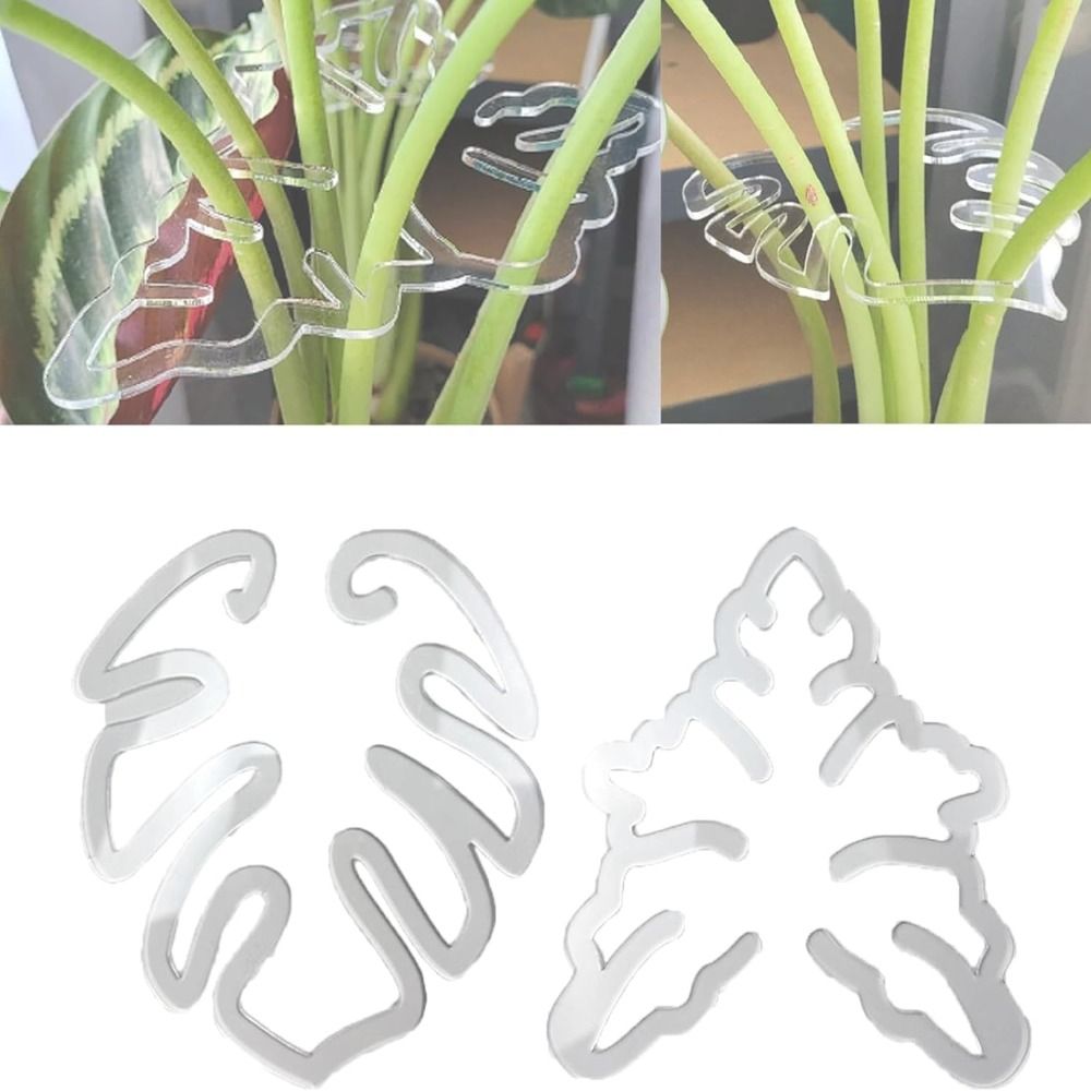 Многоразовый бамбуковый зажим  – обзор и цена Gardening Tools Holder
