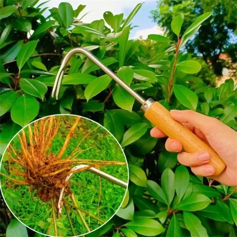 Садовая прополка из нержавеюще – обзор и цена Grass Seed Spreader