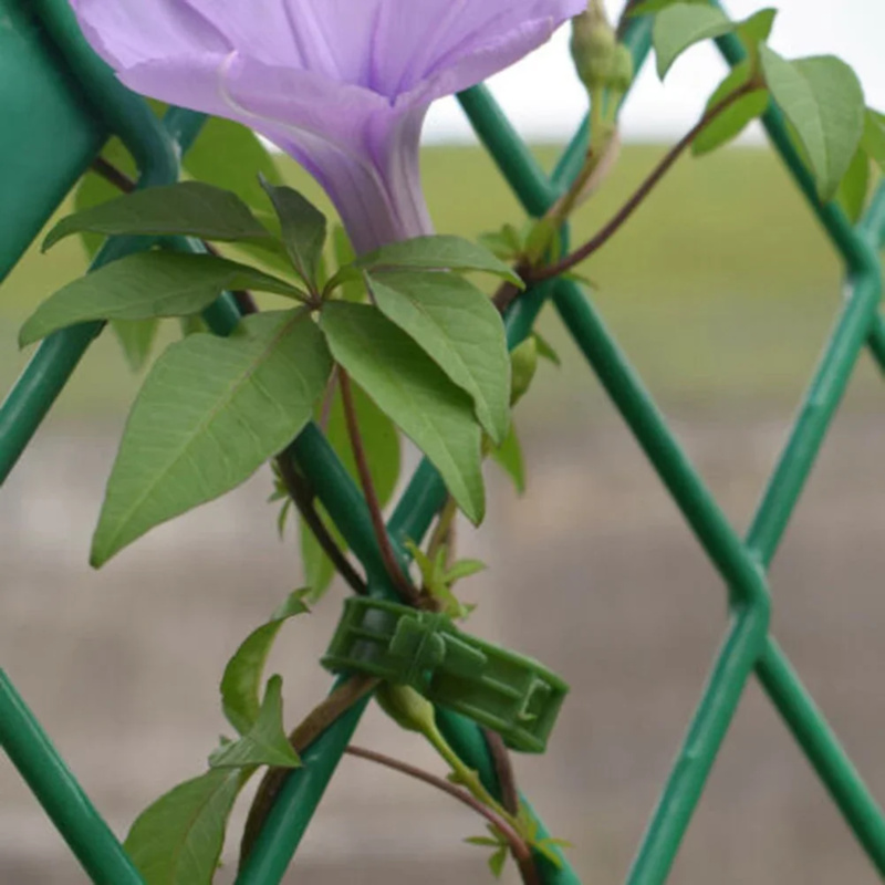 100 шт./зажим для поддержки ра – обзор и цена Gardening Tools Holder