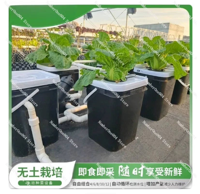 Домашний гидропонный комплект  – обзор и цена Hydroponic System
