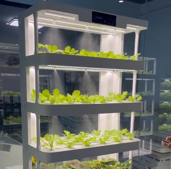 Интеллектуальная система выращ – обзор и цена Hydroponic System