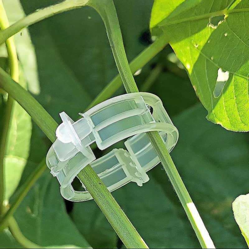 300/50 шт. многоразовые пласти – обзор и цена Gardening Tools Holder