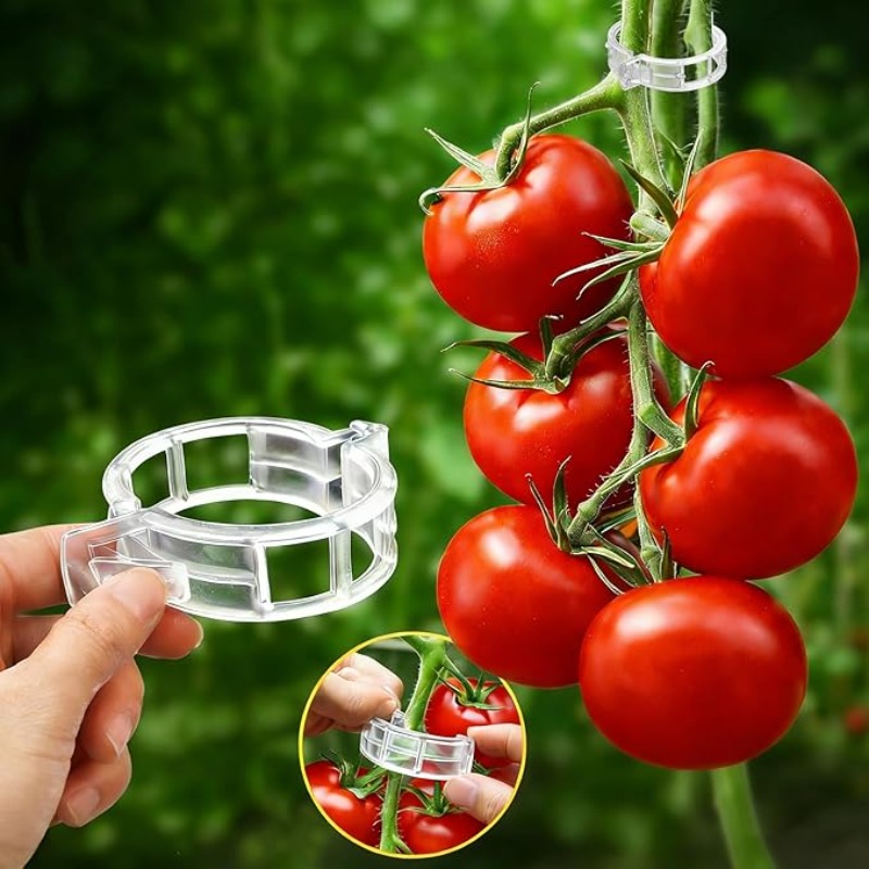 300/50 шт. многоразовые пласти – обзор и цена Gardening Tools Holder